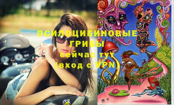 дурь Белокуриха